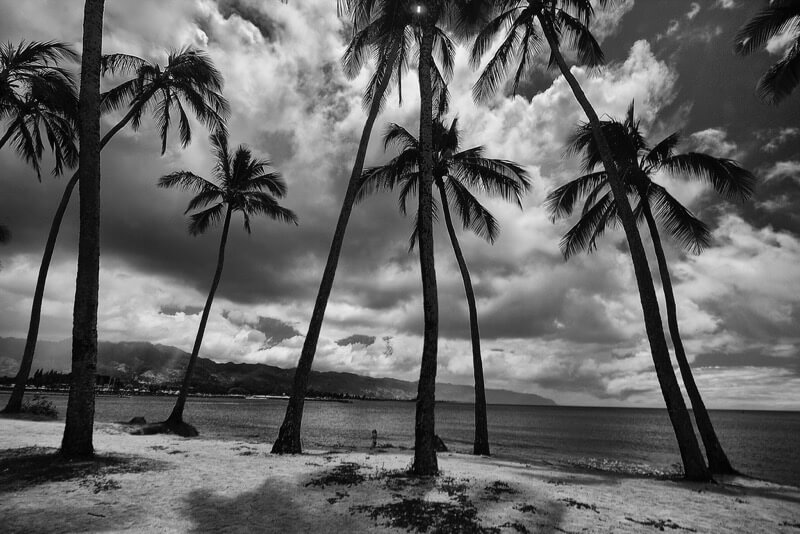 Darren Sethe - North Shore, Oahu