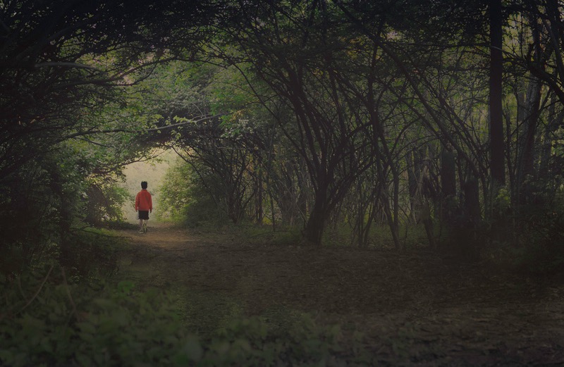 jordan parks forest path