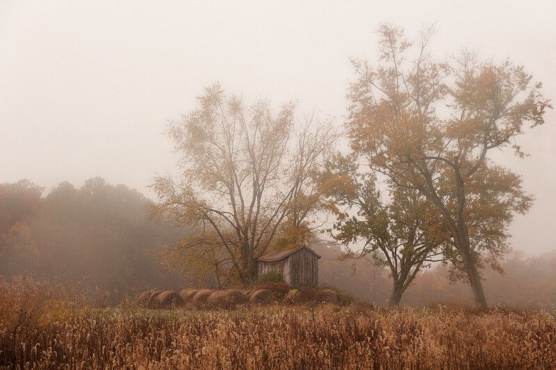 Jeff Weese - November Fog