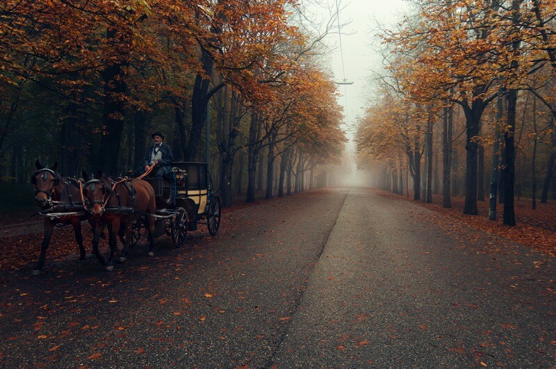 Pascal Silvain Arabatzis vienna