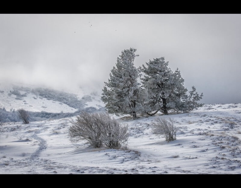 Philippe ABOULIN winter