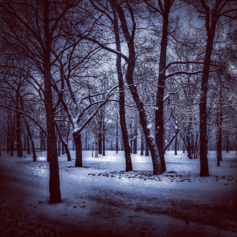 Melinda Szente - Winter in the park
