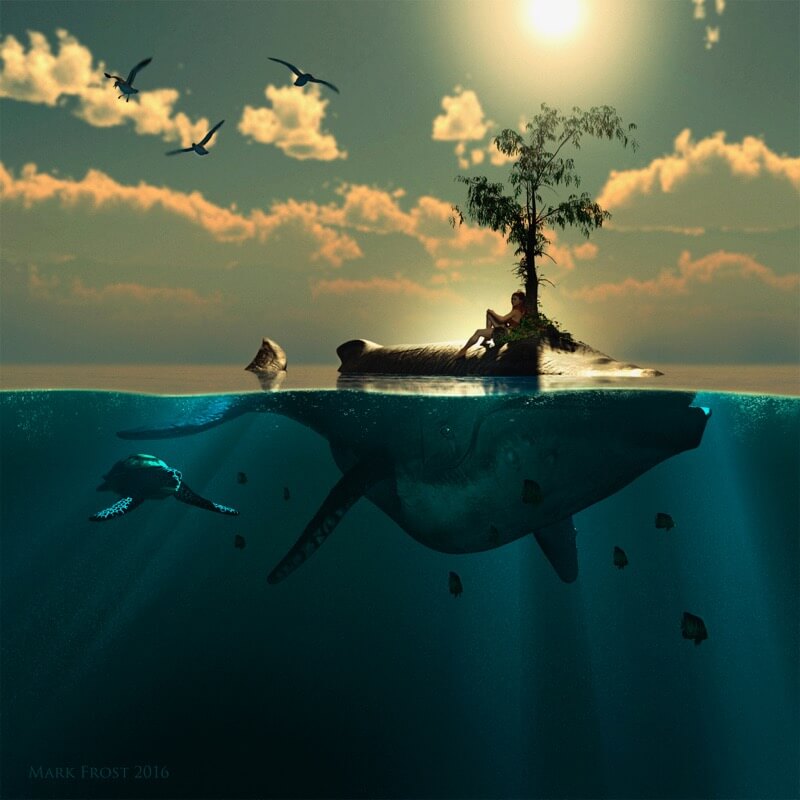 Mark Frost whale island
