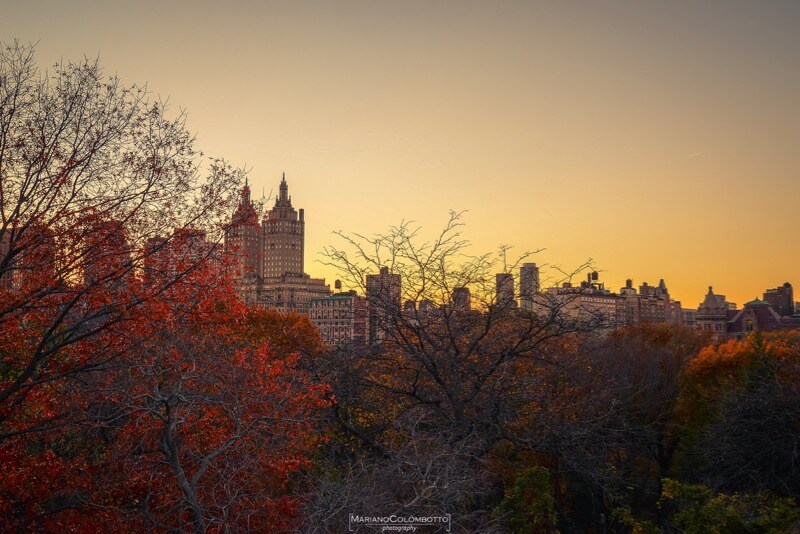 Mariano Colombotto new york