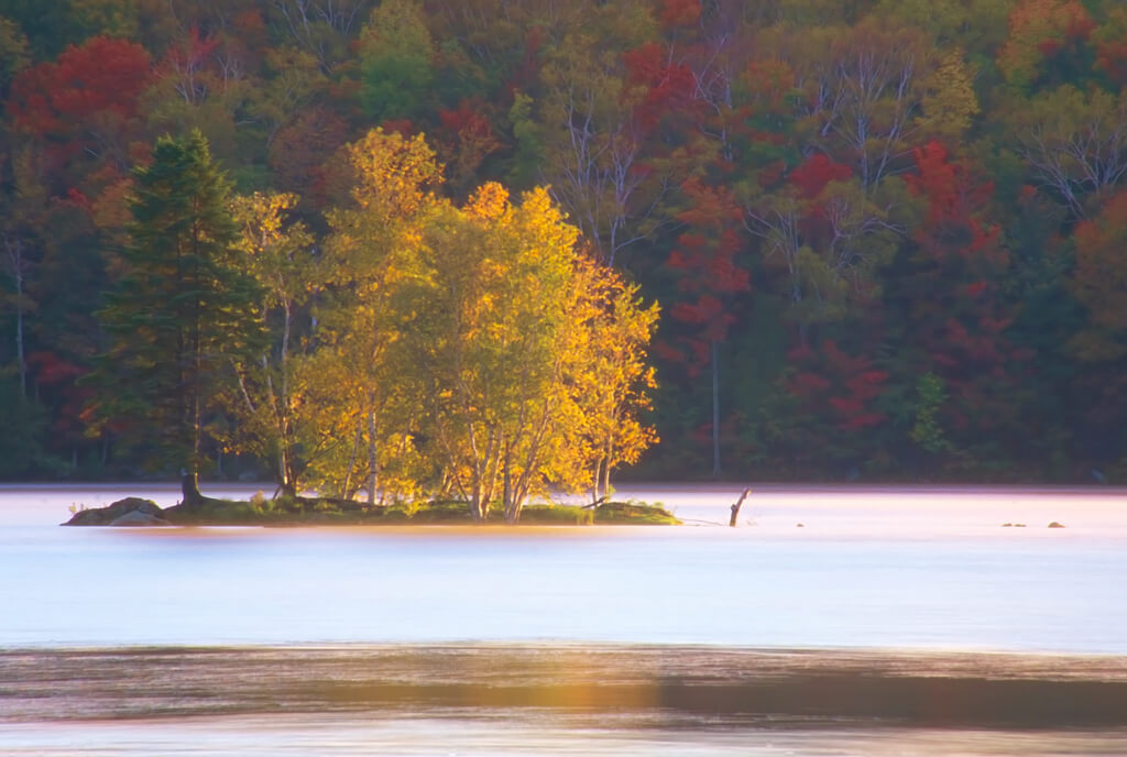 Matt Shalvatis - Dawn’s Early Light