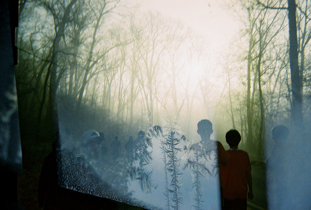 vivek jena - sun forest