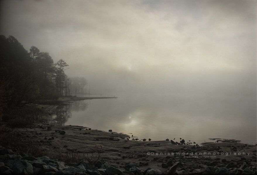 Denise Worden - Lake Fog