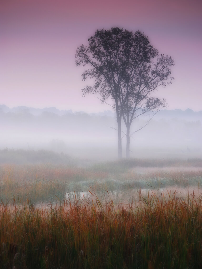 James Jordan - Misty autumn dawn