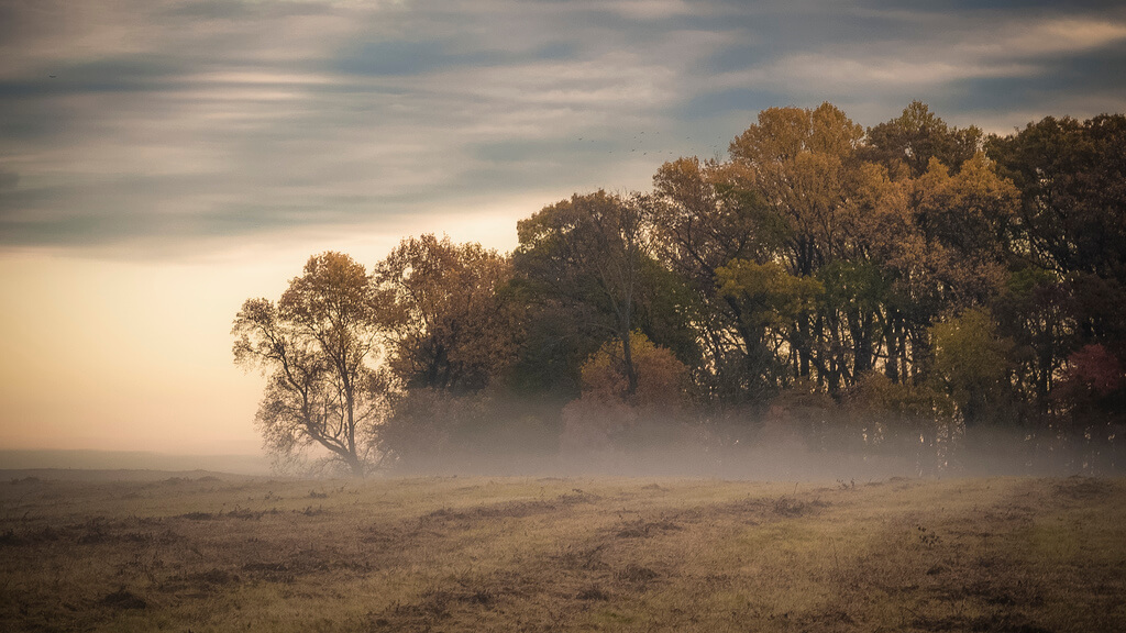 Thomas - Autumn Morning