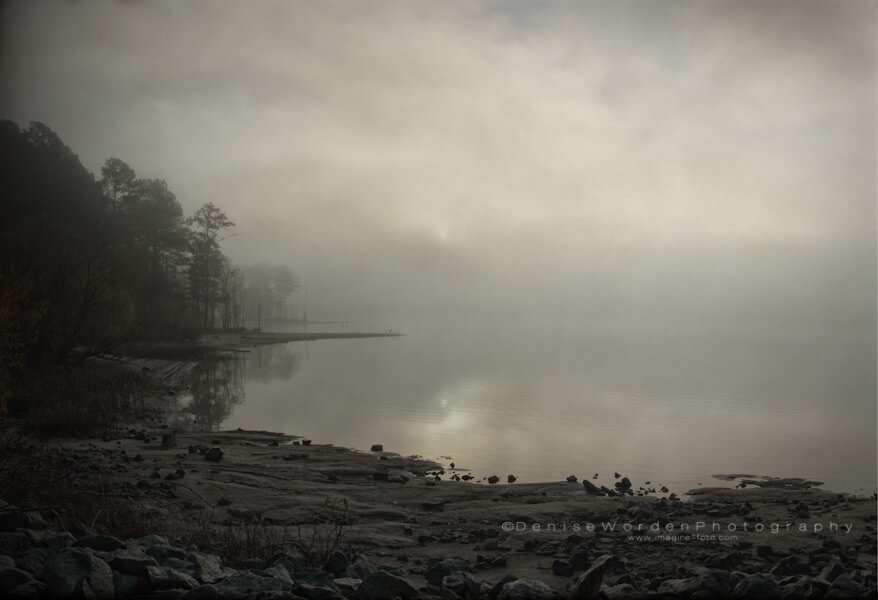 Denise Worden fog over water