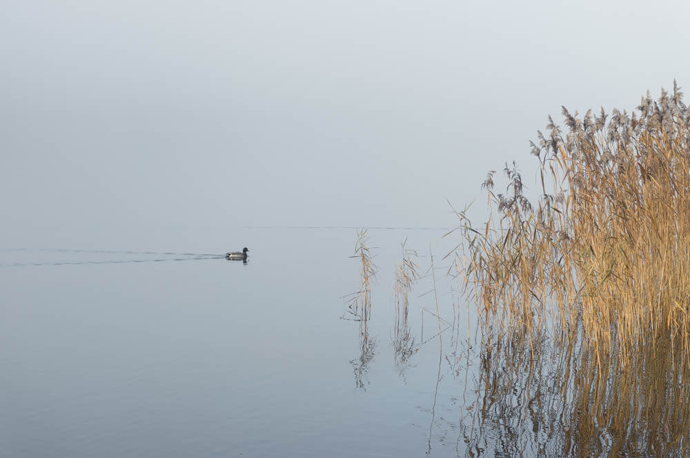 Jette Baltzer lake denmark