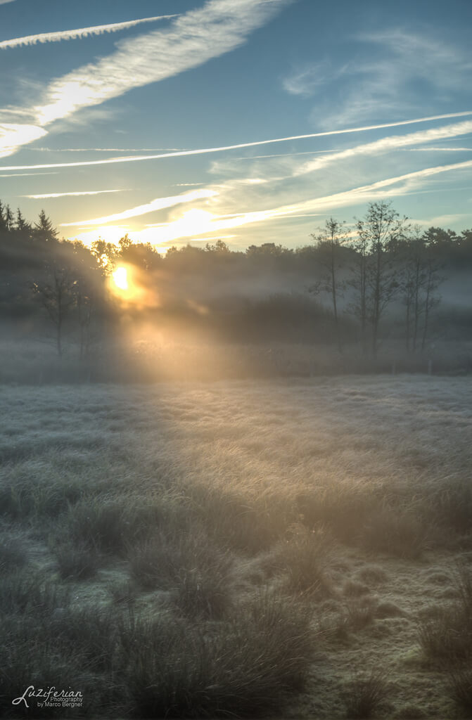 Marco Bergner - The Sunbeam