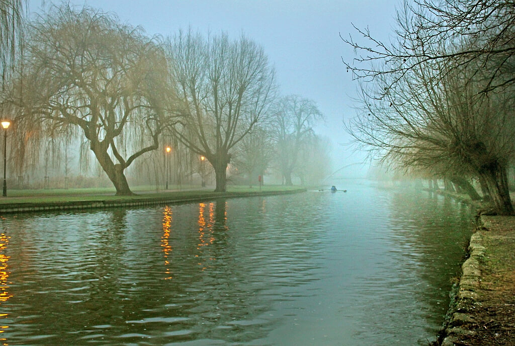 Robert Felton - Misty Morning Light