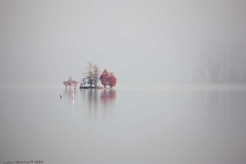 Denise Worden misty lake