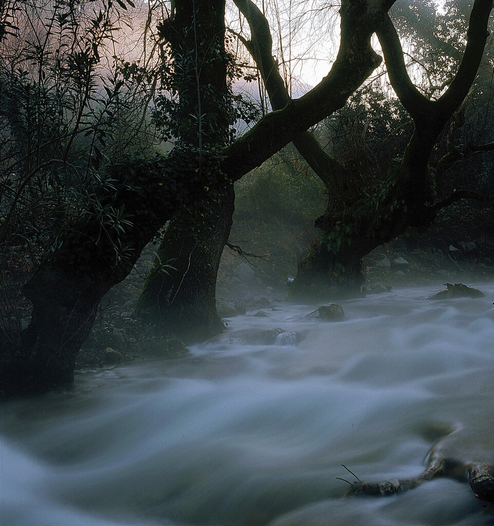 mehmet onelge - Morning fog on the river