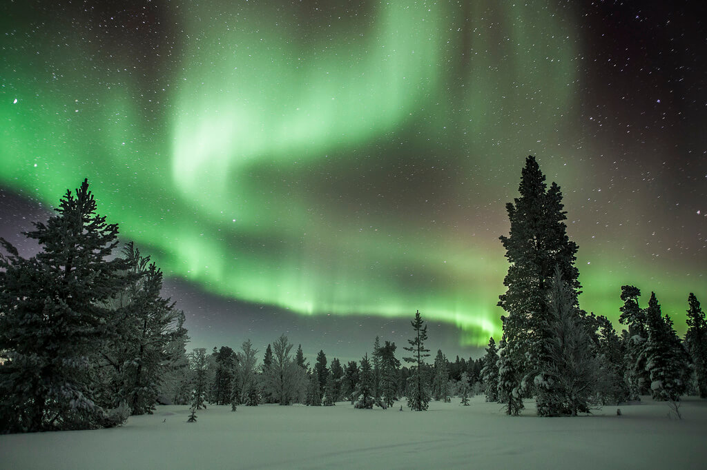 Hille Thomasson - aurora