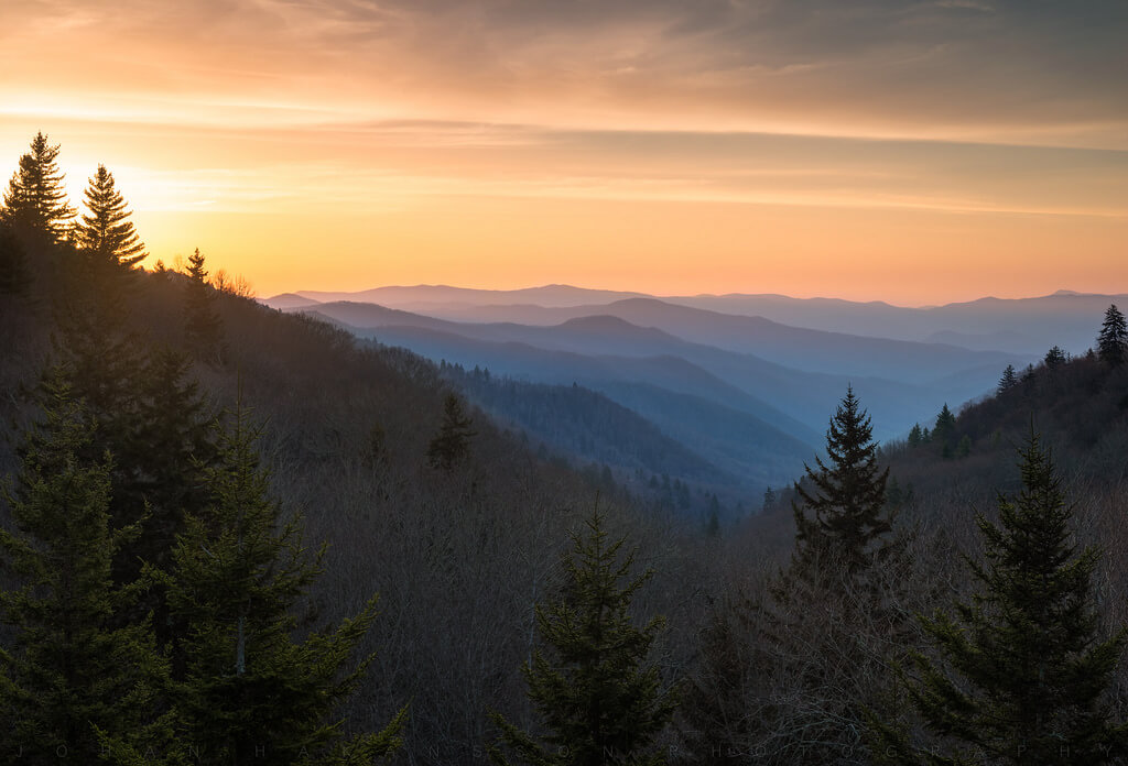 Johan Hakansson Photography - Smoky Mountain Gold