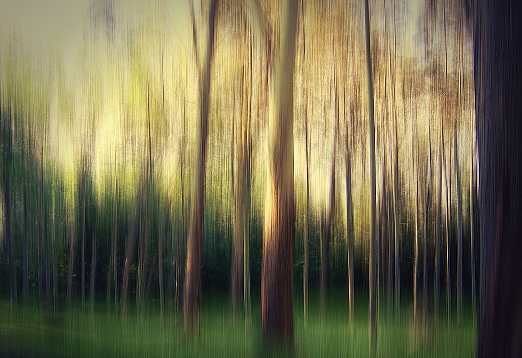 Elizme - intentional camera movement