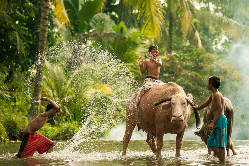 Ahmad Syukaery - boys playing with elephant