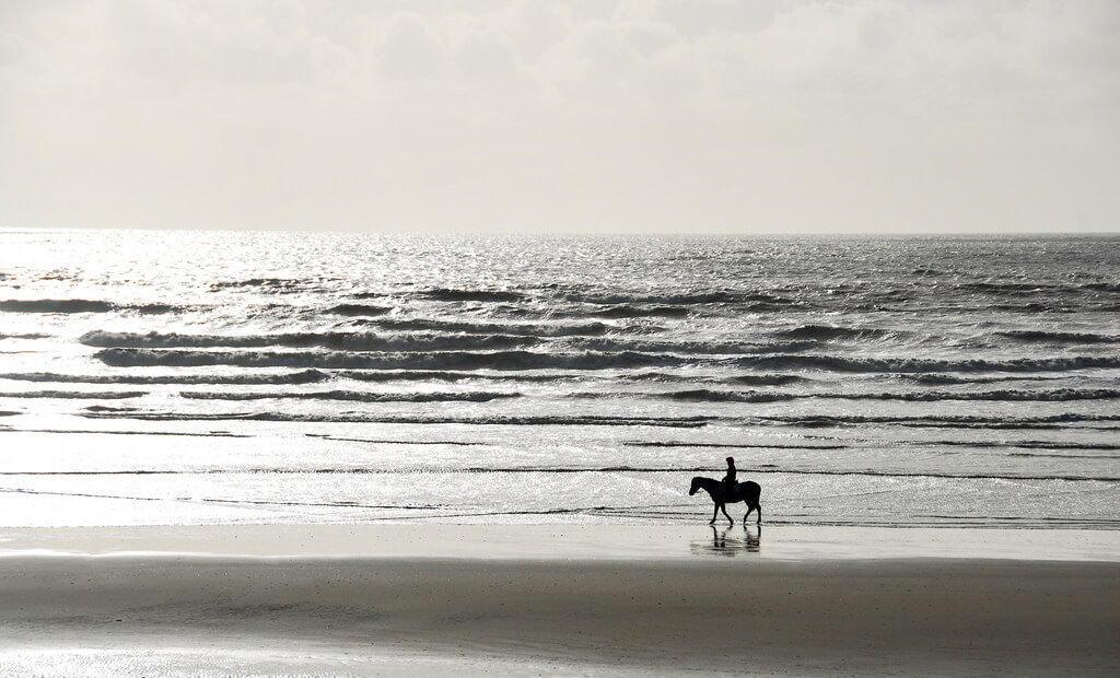 Richard Watkins LRPS - Camber Beach horse