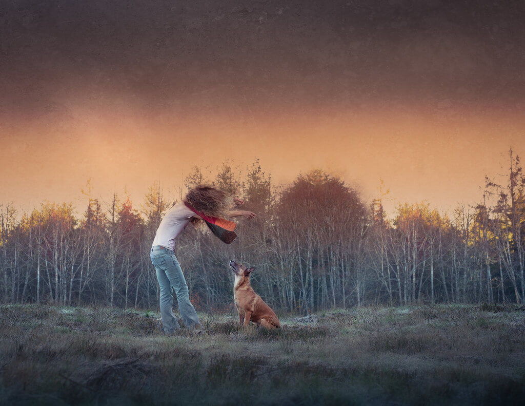 Katie McLellan forest