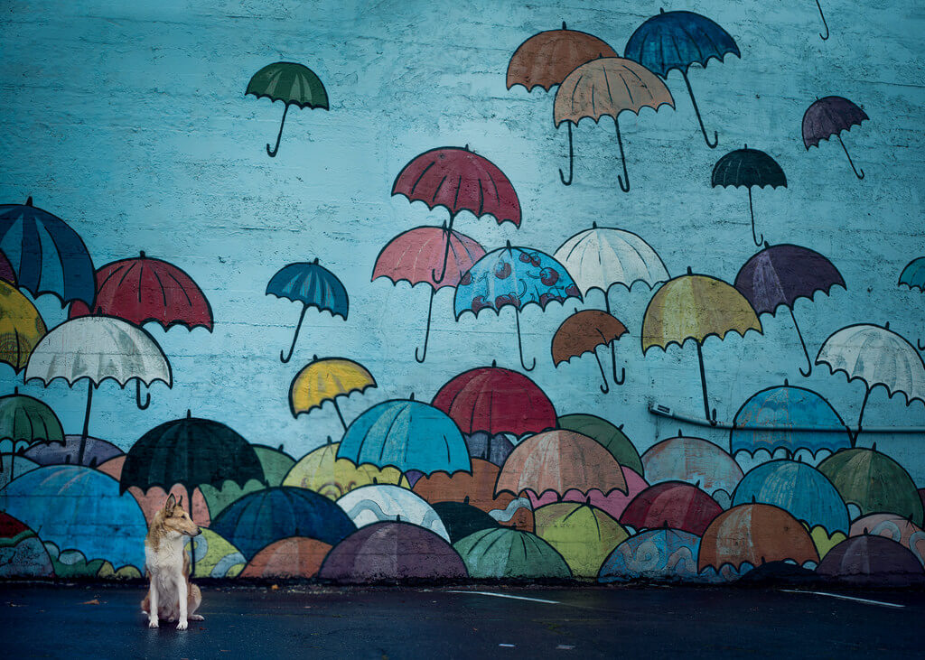 Katie McLellan umbrella mural