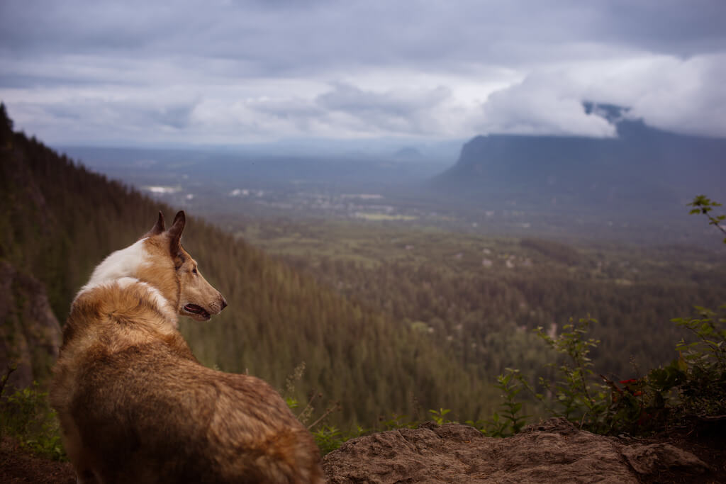 Katie McLellan rattlesnake ledge