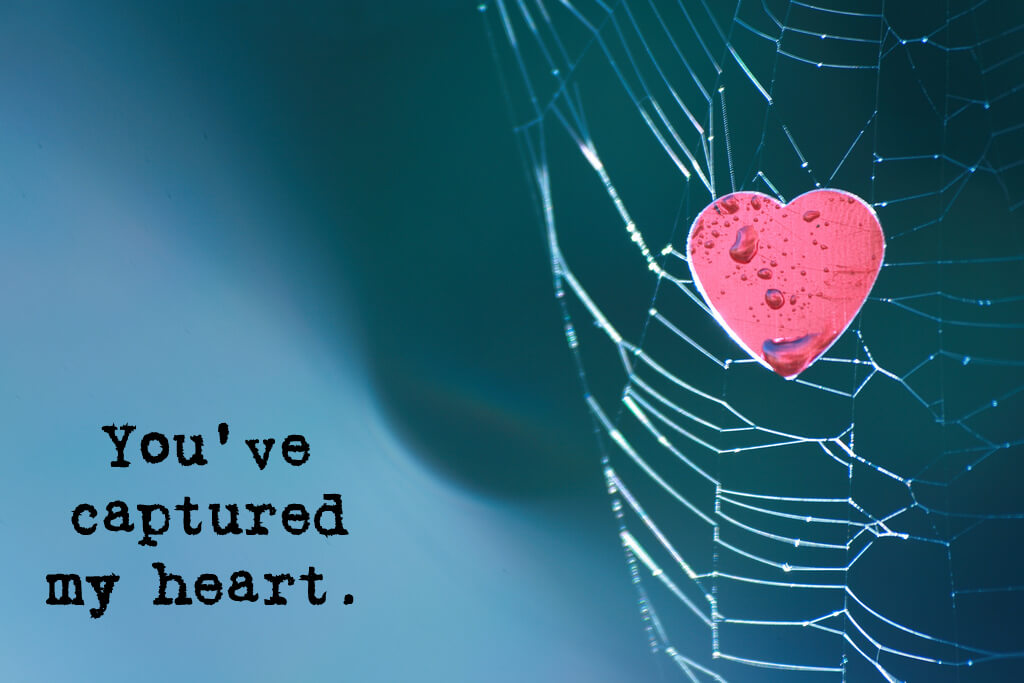 Neal Fowler - You’ve Captured My Heart