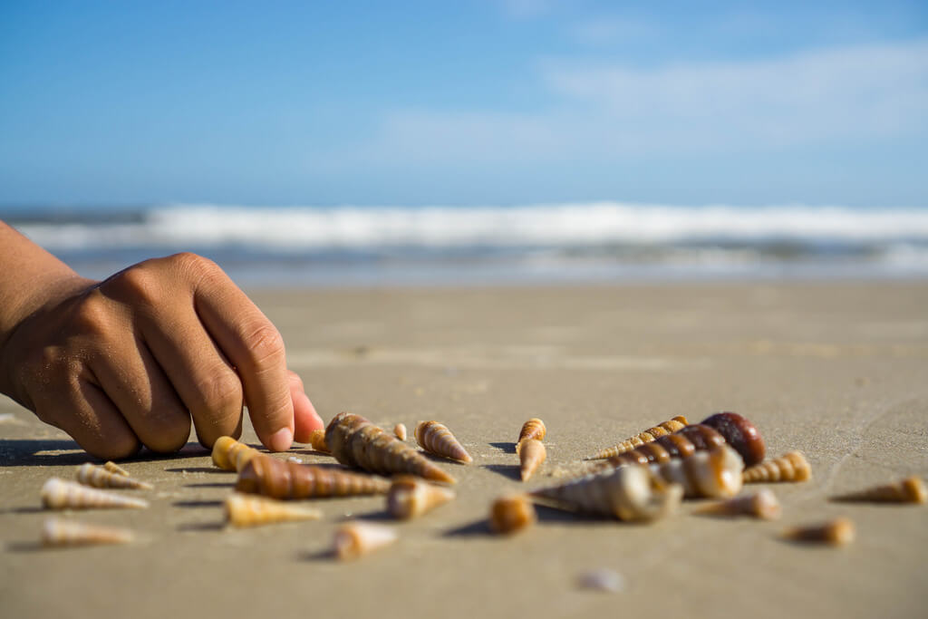 Marco Verch - Muscheln werden in einem Kreis am Strand in Vung Tau, Vietnam gelegt