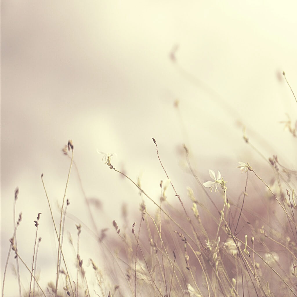 Elizme - grass