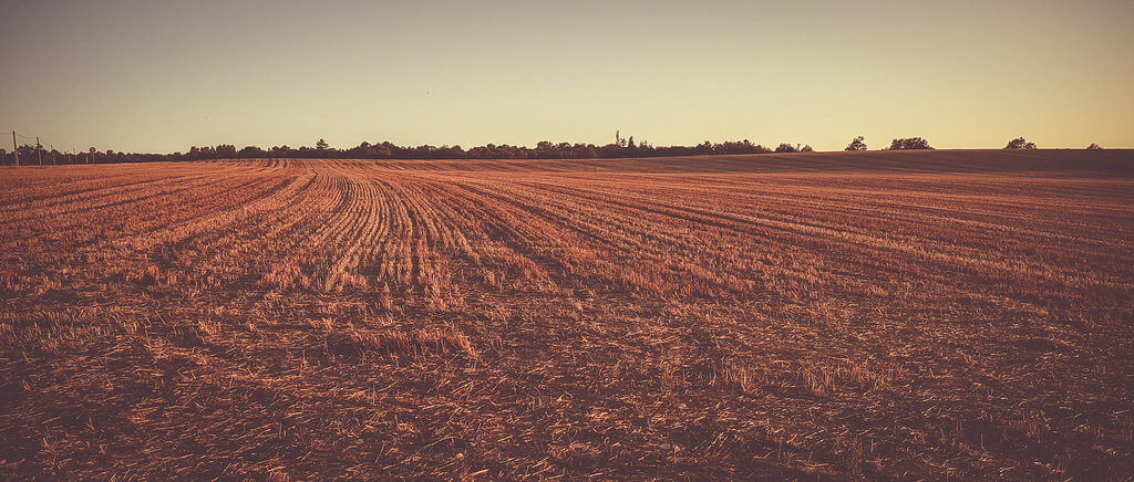 Noirathsi’s Eye - harvested field