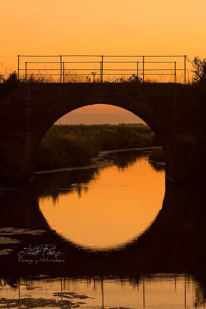 Gerardo “Tito” Paez - bridge reflection