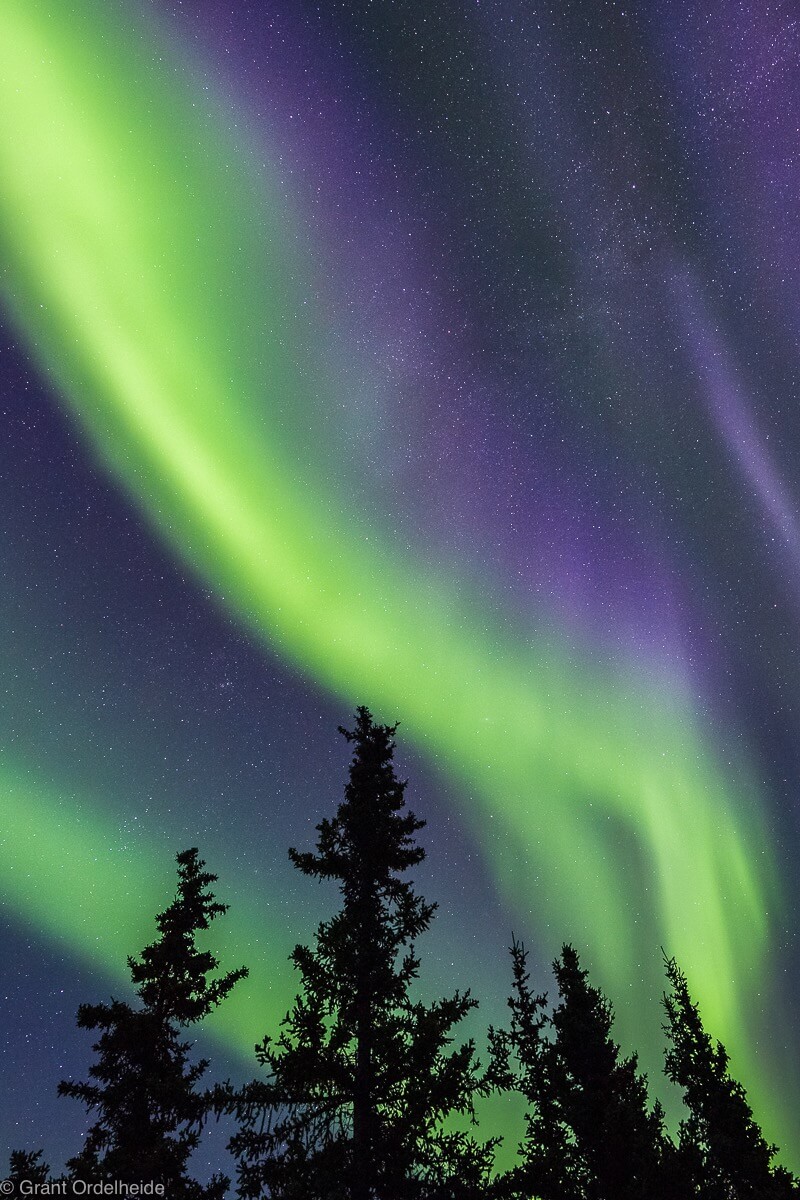 Grant Ordelheide - The northern lights over Alaska’s Denali National Park