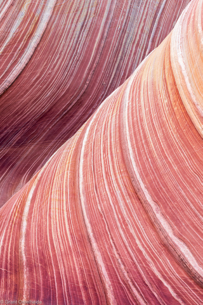 The Wave Abstract