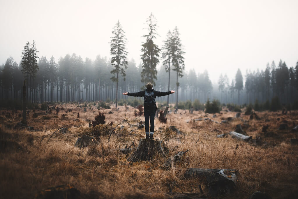 Steven Ritzer - autumn portrait
