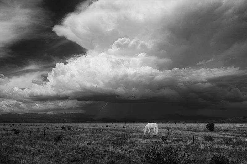Carolyn D’Alessandro - Monsoon season, New Mexico