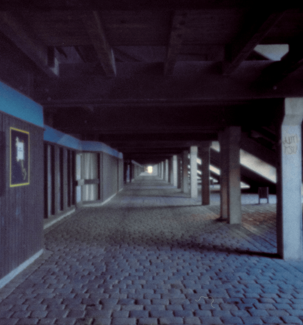 stereoscopy
