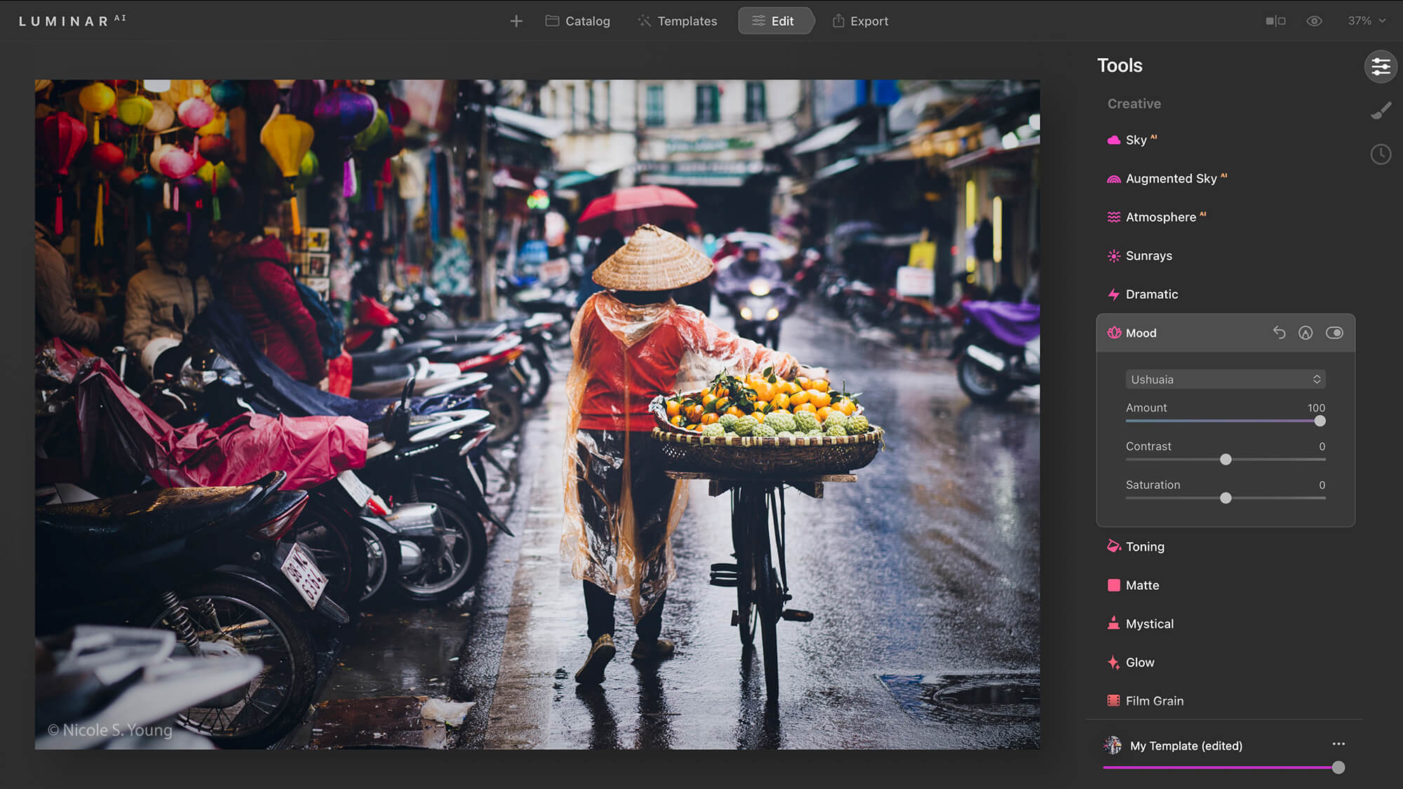 Colorization example for creative photo editing tips