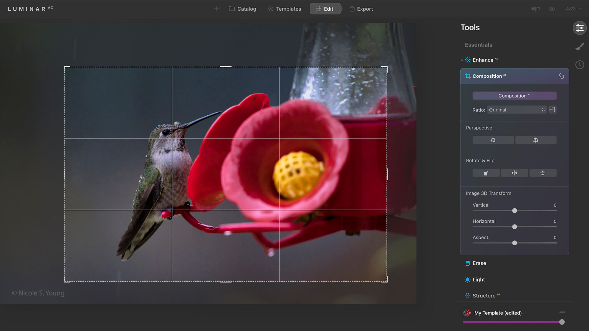 Editing software opened for cropping