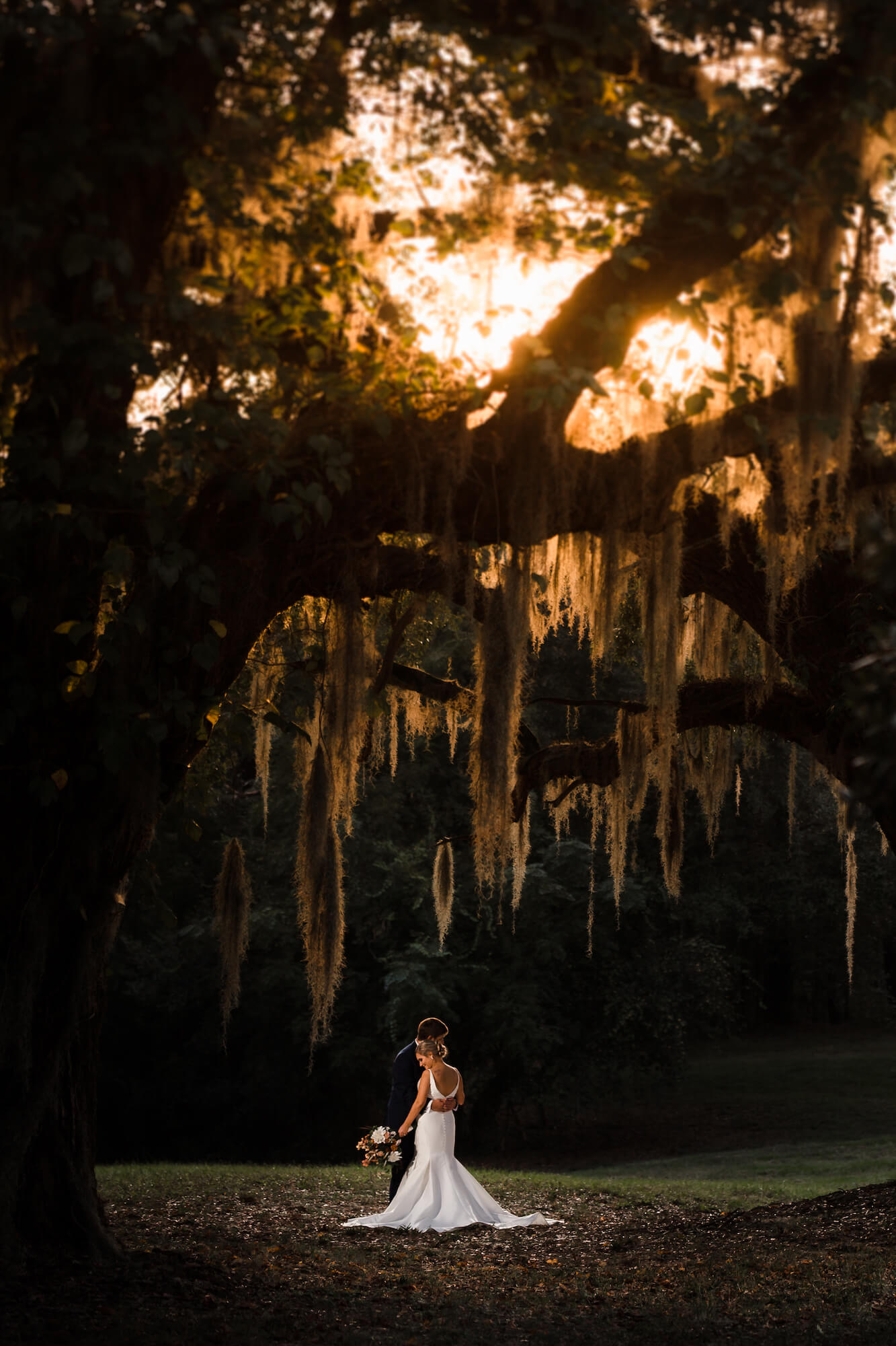 wedding photography artist feature with couple under a tree